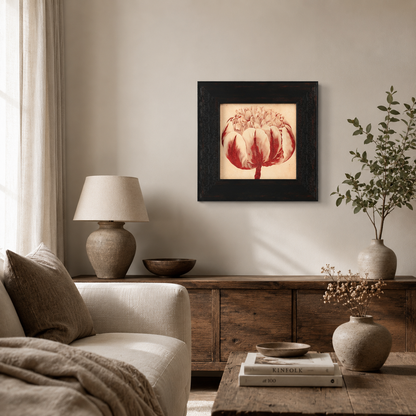 Vintage Red Peony